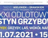 XXI Odlotowy Festyn Grzybowy Ryby, Grzyby, Las, wokół nas!